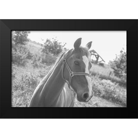 Howdy Black Modern Wood Framed Art Print by The Yellowstone Collection