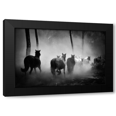 In to the Forest Black Modern Wood Framed Art Print with Double Matting by The Yellowstone Collection
