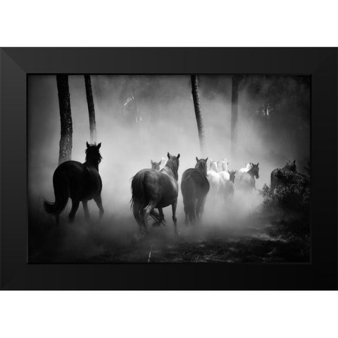 In to the Forest Black Modern Wood Framed Art Print by The Yellowstone Collection