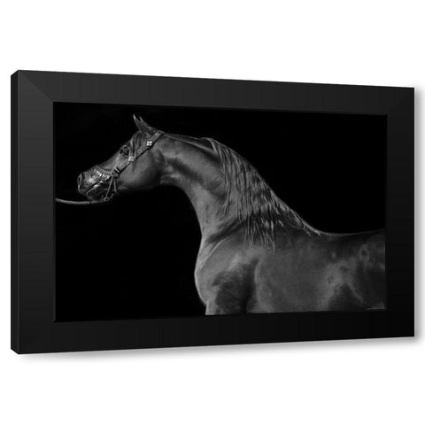 Majestic Black Modern Wood Framed Art Print by The Yellowstone Collection