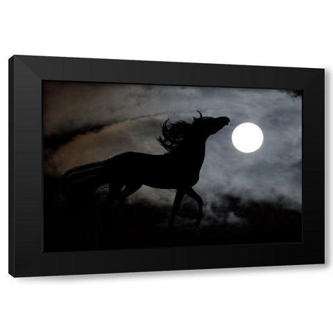 Moonlight Run Black Modern Wood Framed Art Print with Double Matting by The Yellowstone Collection