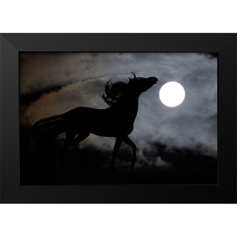 Moonlight Run Black Modern Wood Framed Art Print by The Yellowstone Collection