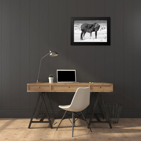 Mother and Foal Black Modern Wood Framed Art Print by The Yellowstone Collection