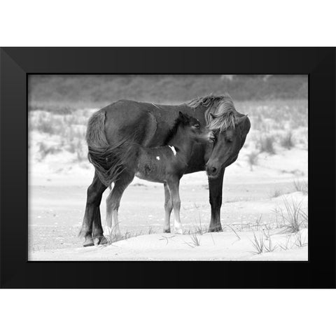 Mother and Foal Black Modern Wood Framed Art Print by The Yellowstone Collection