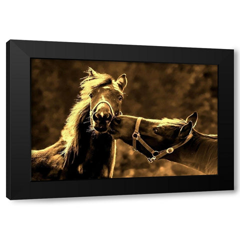 Near the Kissing Gate Black Modern Wood Framed Art Print with Double Matting by The Yellowstone Collection