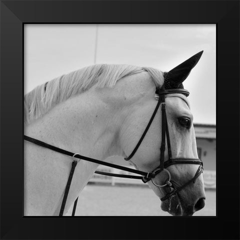 Nobility Black Modern Wood Framed Art Print by The Yellowstone Collection