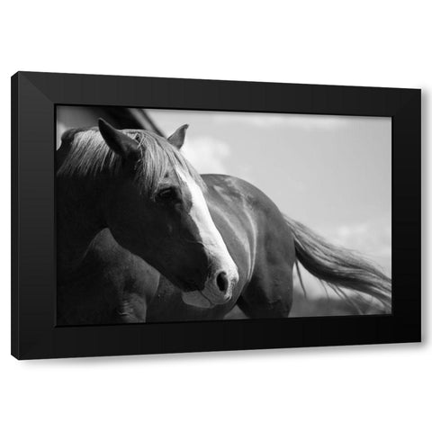 Ready to Ride Black Modern Wood Framed Art Print by The Yellowstone Collection