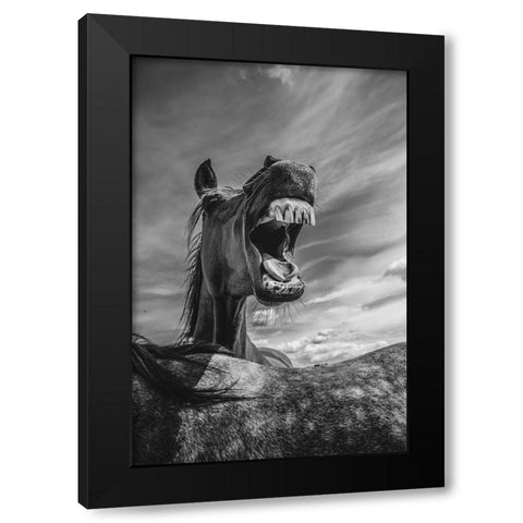 Rebel Yell Black Modern Wood Framed Art Print with Double Matting by The Yellowstone Collection