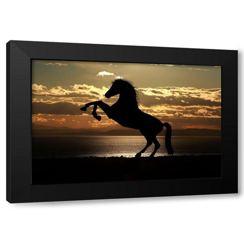 Shadow Dancer Black Modern Wood Framed Art Print with Double Matting by The Yellowstone Collection