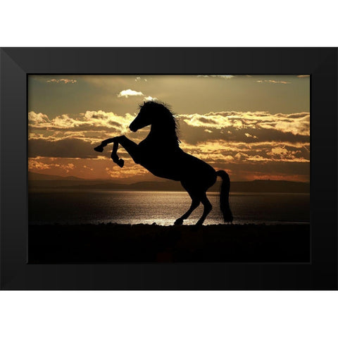 Shadow Dancer Black Modern Wood Framed Art Print by The Yellowstone Collection