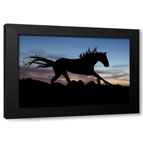 Shadow Gallop Black Modern Wood Framed Art Print by The Yellowstone Collection