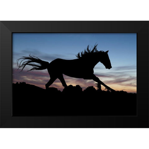 Shadow Gallop Black Modern Wood Framed Art Print by The Yellowstone Collection