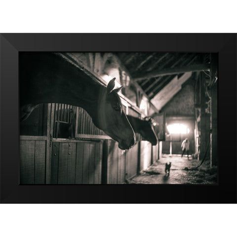 Stable Gossip Black Modern Wood Framed Art Print by The Yellowstone Collection