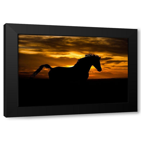 Sunset Shadow Black Modern Wood Framed Art Print with Double Matting by The Yellowstone Collection