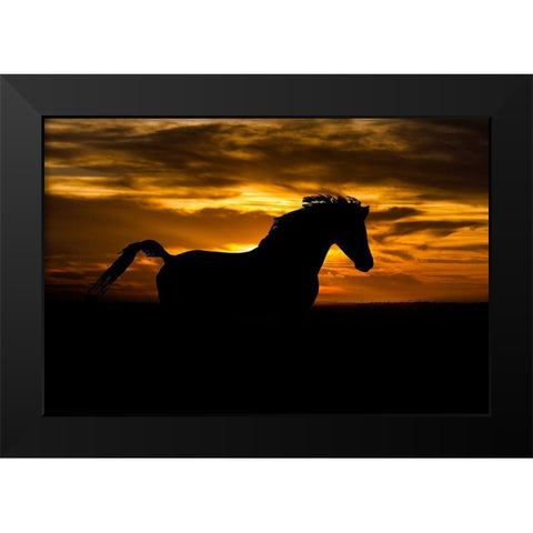 Sunset Shadow Black Modern Wood Framed Art Print by The Yellowstone Collection
