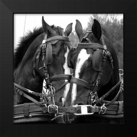 Tandem Black Modern Wood Framed Art Print by The Yellowstone Collection