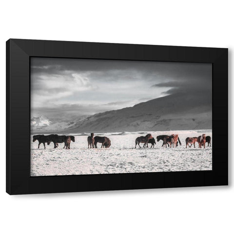 The Frozen Plain Black Modern Wood Framed Art Print with Double Matting by The Yellowstone Collection
