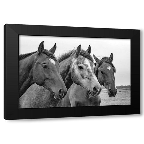 Three of a Kind Black Modern Wood Framed Art Print with Double Matting by The Yellowstone Collection