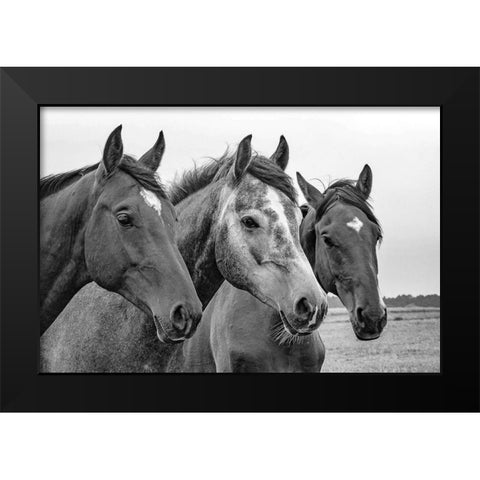Three of a Kind Black Modern Wood Framed Art Print by The Yellowstone Collection