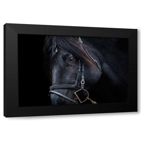 Up Close Black Modern Wood Framed Art Print with Double Matting by The Yellowstone Collection