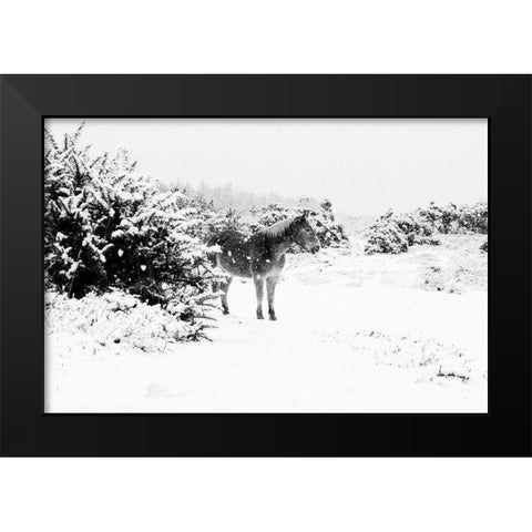 Winter Chestnut Black Modern Wood Framed Art Print by The Yellowstone Collection