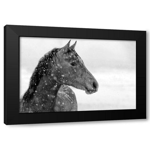 Winter Snow Black Modern Wood Framed Art Print by The Yellowstone Collection