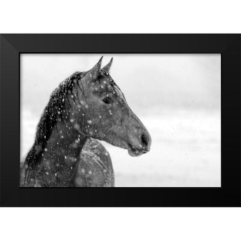 Winter Snow Black Modern Wood Framed Art Print by The Yellowstone Collection