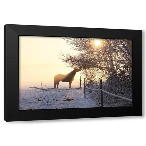 Winter Treat Black Modern Wood Framed Art Print with Double Matting by The Yellowstone Collection