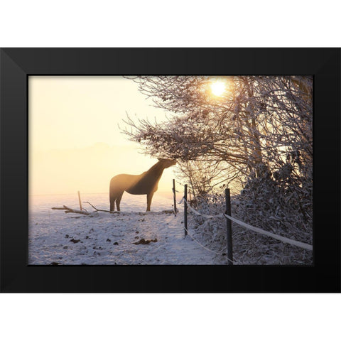 Winter Treat Black Modern Wood Framed Art Print by The Yellowstone Collection