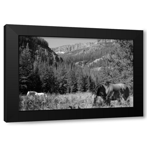 Younts Peak, Cody, Wyoming Black Modern Wood Framed Art Print by The Yellowstone Collection