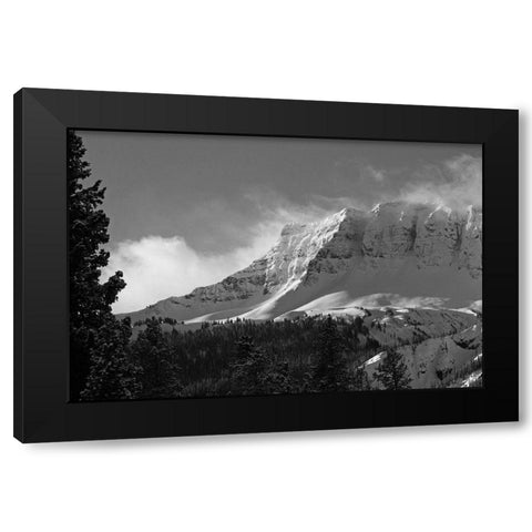 Amphitheater Mountain, Yellowstone National Park Black Modern Wood Framed Art Print by Peaco, Jim