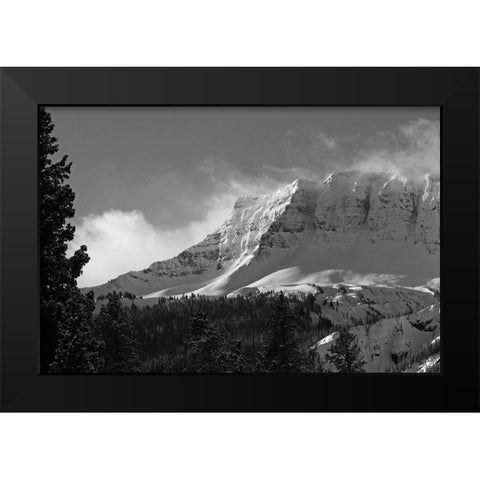 Amphitheater Mountain, Yellowstone National Park Black Modern Wood Framed Art Print by Peaco, Jim