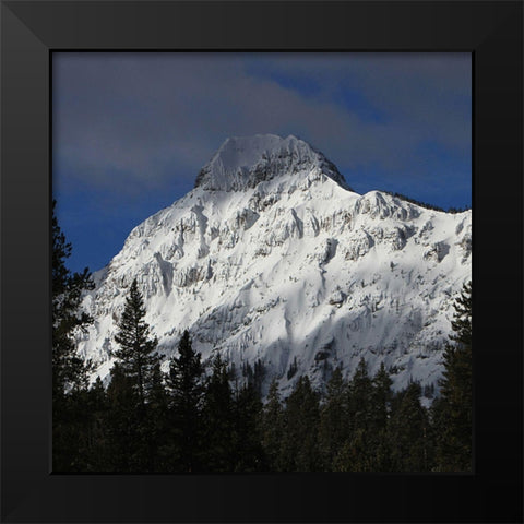 Barronette Peak, Yellowstone National Park Black Modern Wood Framed Art Print by Peaco, Jim