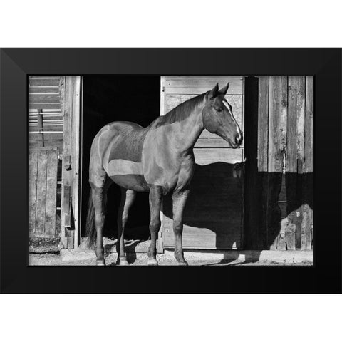 Afternoon Shadow Black Modern Wood Framed Art Print by The Yellowstone Collection