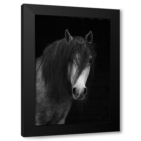 Andalusian Black Modern Wood Framed Art Print with Double Matting by The Yellowstone Collection