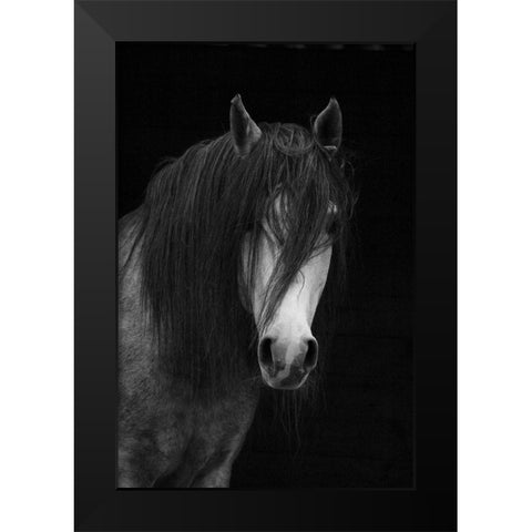 Andalusian Black Modern Wood Framed Art Print by The Yellowstone Collection