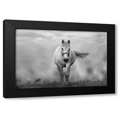 Approaching White Black Modern Wood Framed Art Print with Double Matting by The Yellowstone Collection