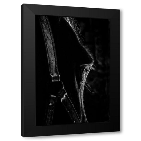 Black as Night Black Modern Wood Framed Art Print with Double Matting by The Yellowstone Collection