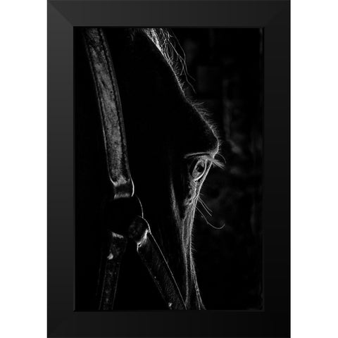Black as Night Black Modern Wood Framed Art Print by The Yellowstone Collection
