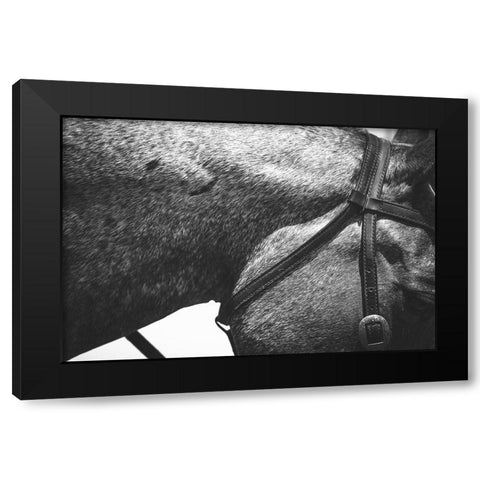 Bridle Black Modern Wood Framed Art Print by The Yellowstone Collection