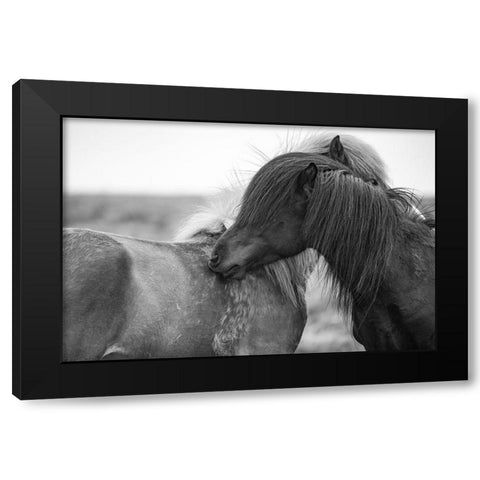 Close Friends Black Modern Wood Framed Art Print with Double Matting by The Yellowstone Collection