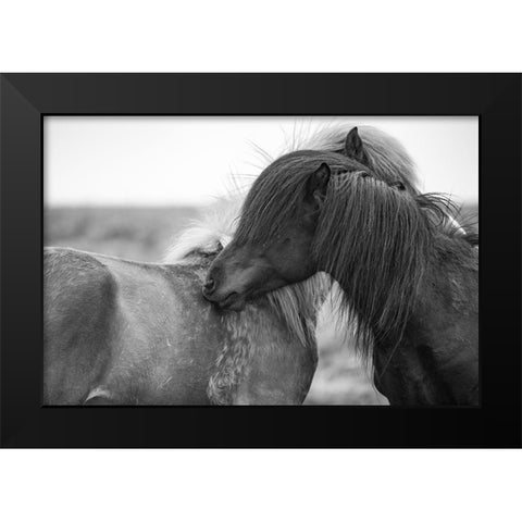 Close Friends Black Modern Wood Framed Art Print by The Yellowstone Collection