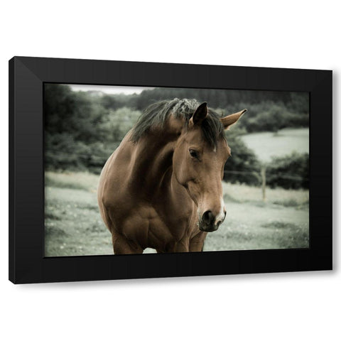 Curiosity Black Modern Wood Framed Art Print by The Yellowstone Collection