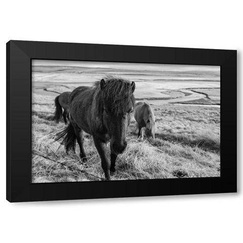 Dry Grass Lunch Black Modern Wood Framed Art Print with Double Matting by The Yellowstone Collection