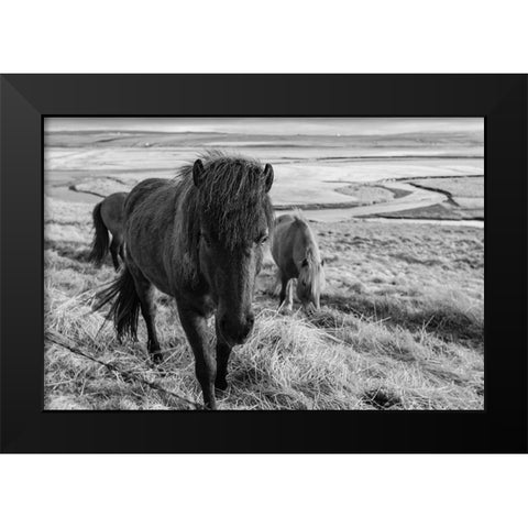 Dry Grass Lunch Black Modern Wood Framed Art Print by The Yellowstone Collection
