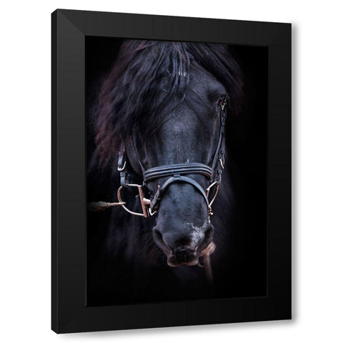 Equus Black Modern Wood Framed Art Print by The Yellowstone Collection