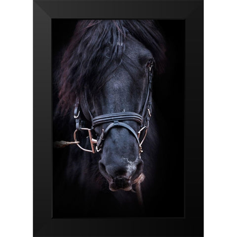 Equus Black Modern Wood Framed Art Print by The Yellowstone Collection