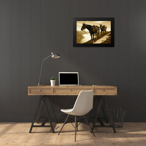Frank Church-River of No Return Wilderness, Payette National Forest I Black Modern Wood Framed Art Print by The Yellowstone Collection