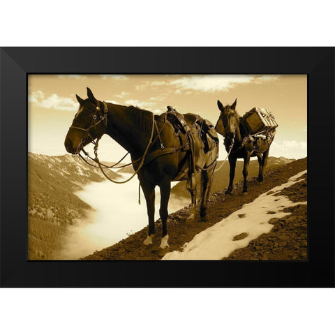 Frank Church-River of No Return Wilderness, Payette National Forest I Black Modern Wood Framed Art Print by The Yellowstone Collection