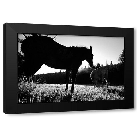 Frank Church-River of No Return Wilderness, Payette National Forest II Black Modern Wood Framed Art Print with Double Matting by The Yellowstone Collection